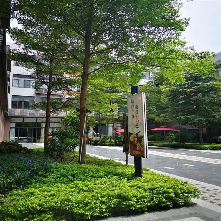 广州黄埔区养老院一览表 养老公寓 比较好老年公寓