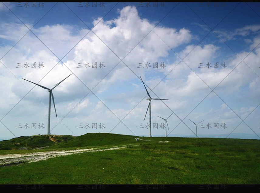 江西赣州风力发电场边坡复绿草籽供应