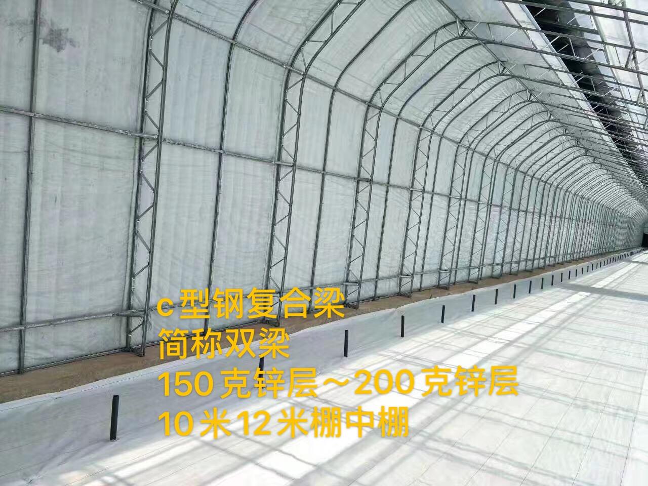荆州80C型钢复合梁免费预算 双模双梁复合梁
