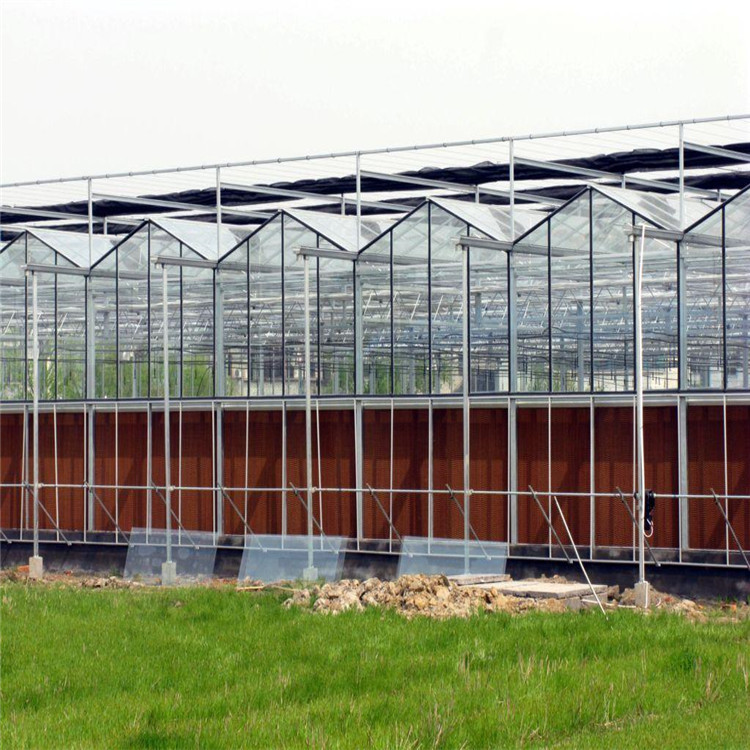 连栋玻璃温室大棚建设找青州中建造价合理
