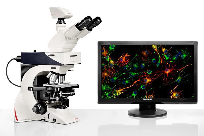 德国徕卡DM2500研究级生物荧光显微镜