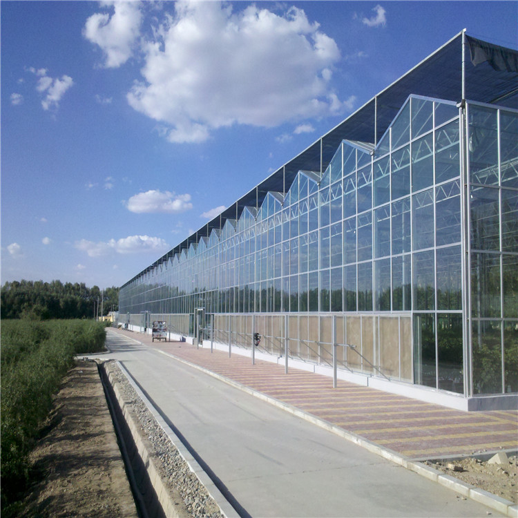 玻璃温室工程 玻璃温室安装建设 玻璃温室厂家