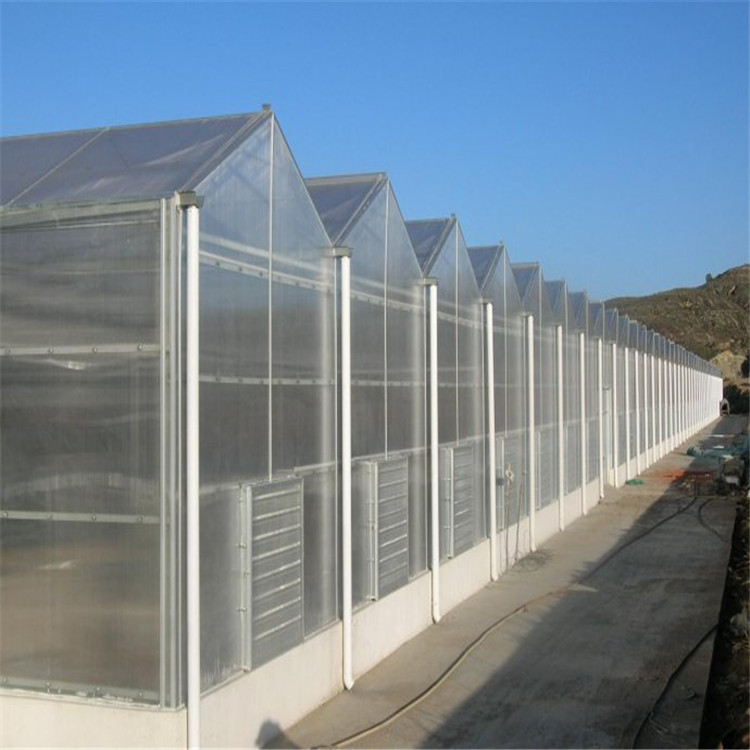 阳光板温室设计 阳光板温室厂家 温室大鹏造价