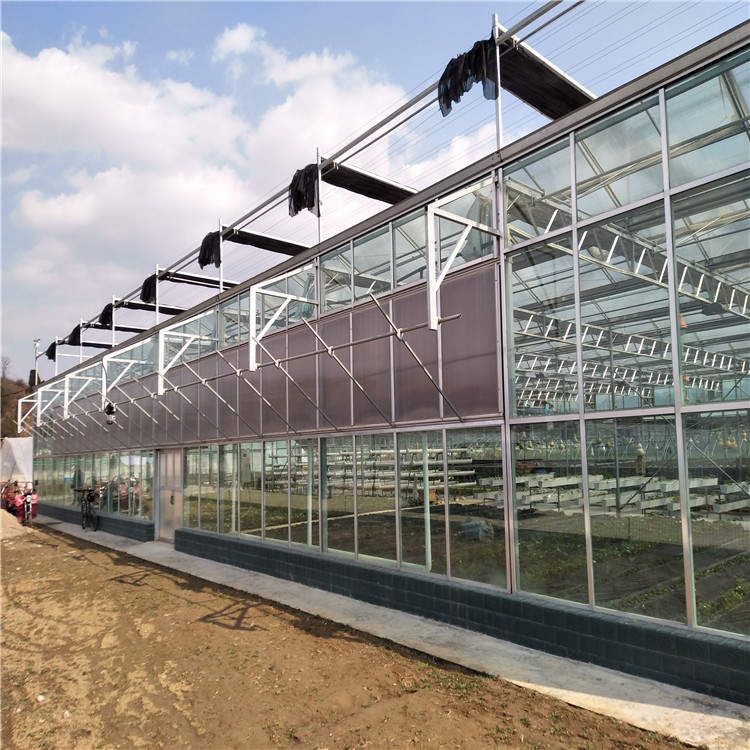 专业承建玻璃温室大棚造价合理施工效率高