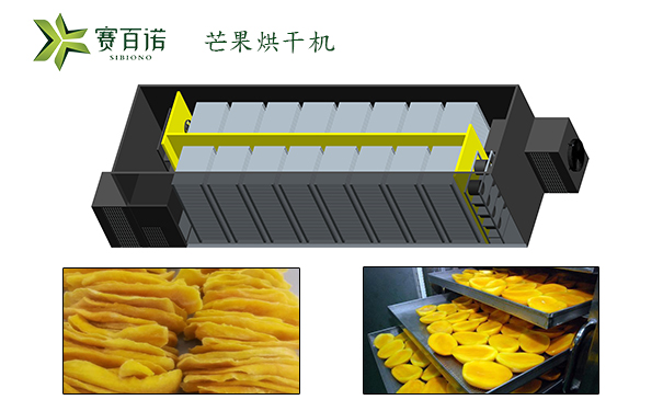 柬埔寨全自动芒果烘干机厂家