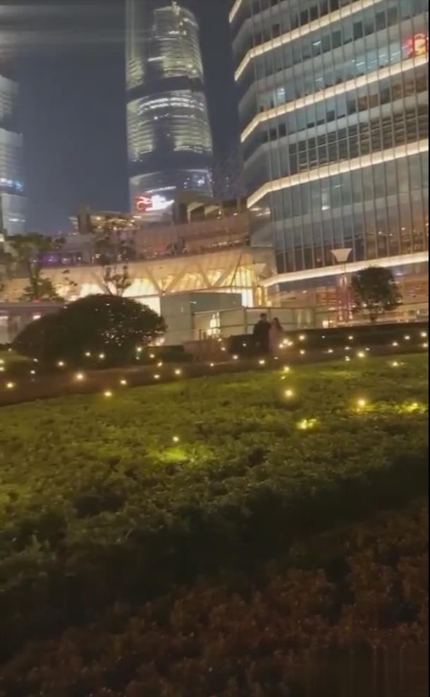 廣州大型螢火蟲燈