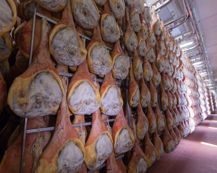 发酵火腿生产线，品牌FRIGOMECCANICA，非标定制， 产地：意大利