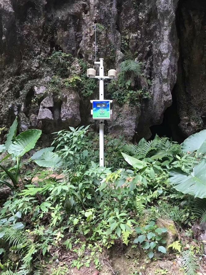 天津森林负氧离子监测 负氧离子监测站