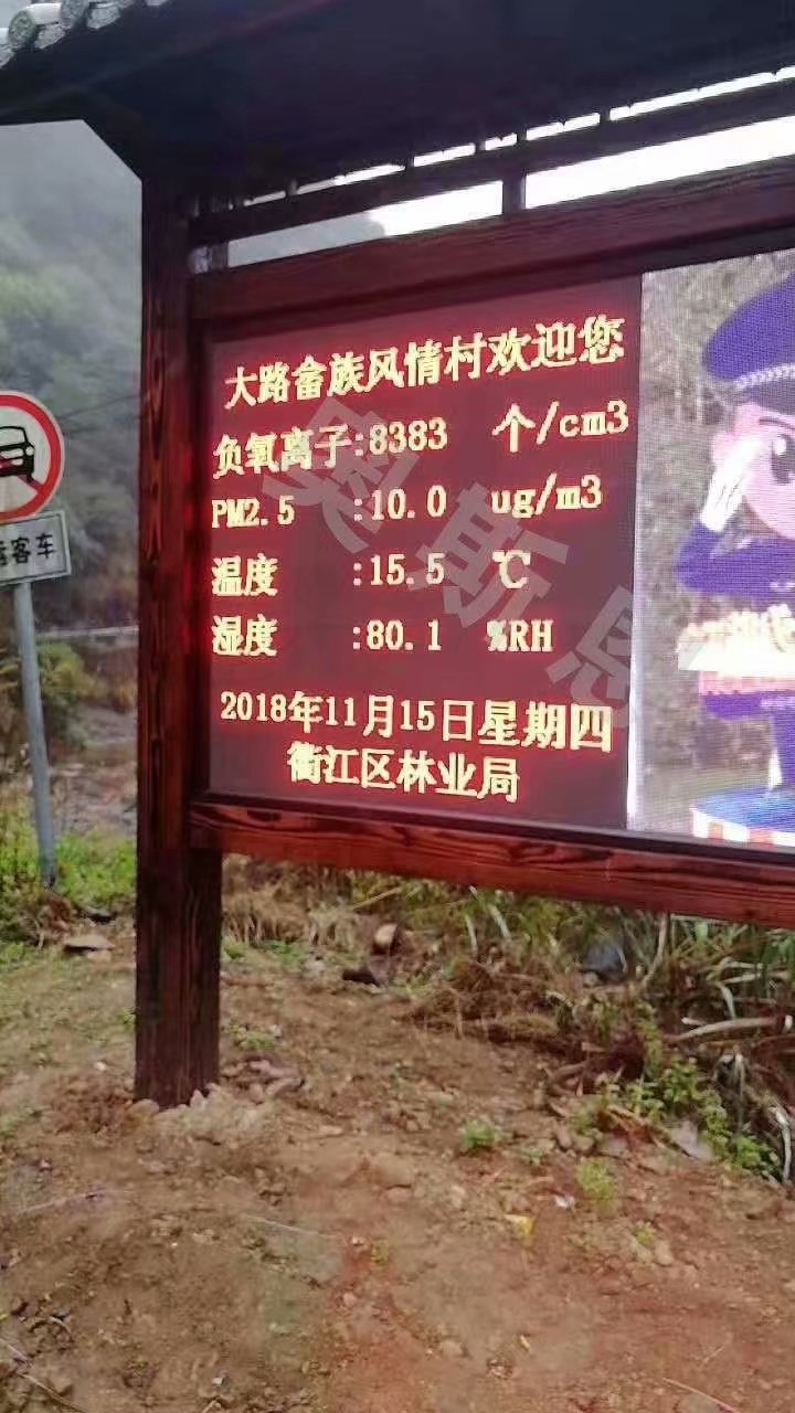 广州森林负氧离子监测品牌
