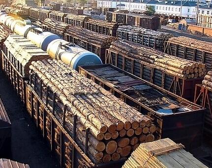 木材 报关 宁波进口木材清关手续及资料