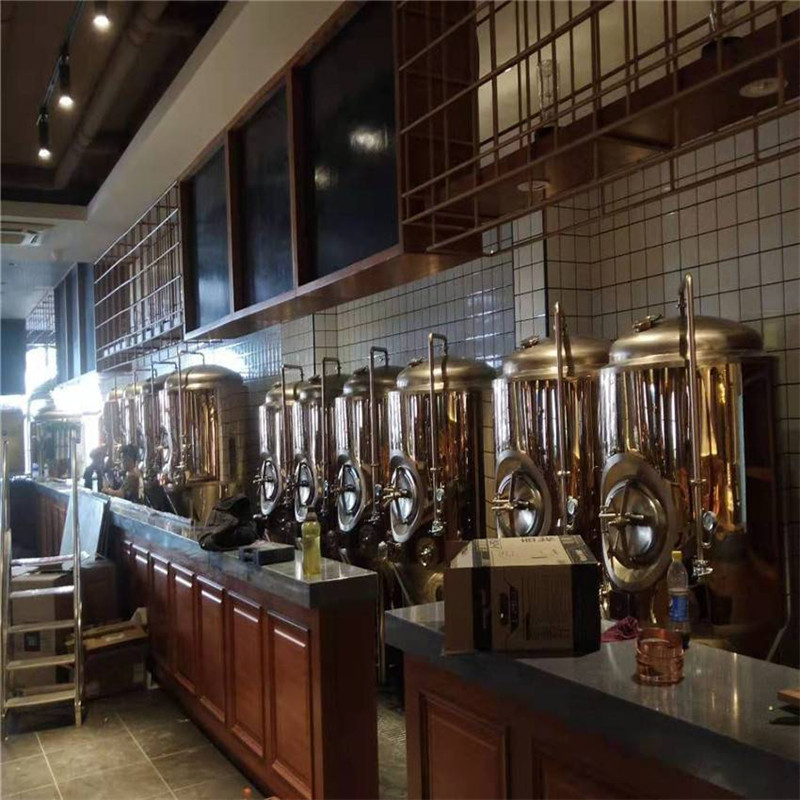 河北精酿啤酒设备 年产20吨啤酒设备 啤酒厂酿酒设备