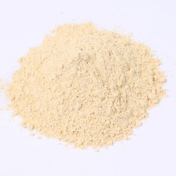 工厂生产饲料级大米蛋白质粉