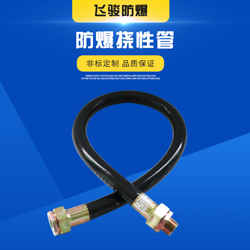 不锈钢绕性管 DN15 订做防爆挠性管bng 橡胶连接软管