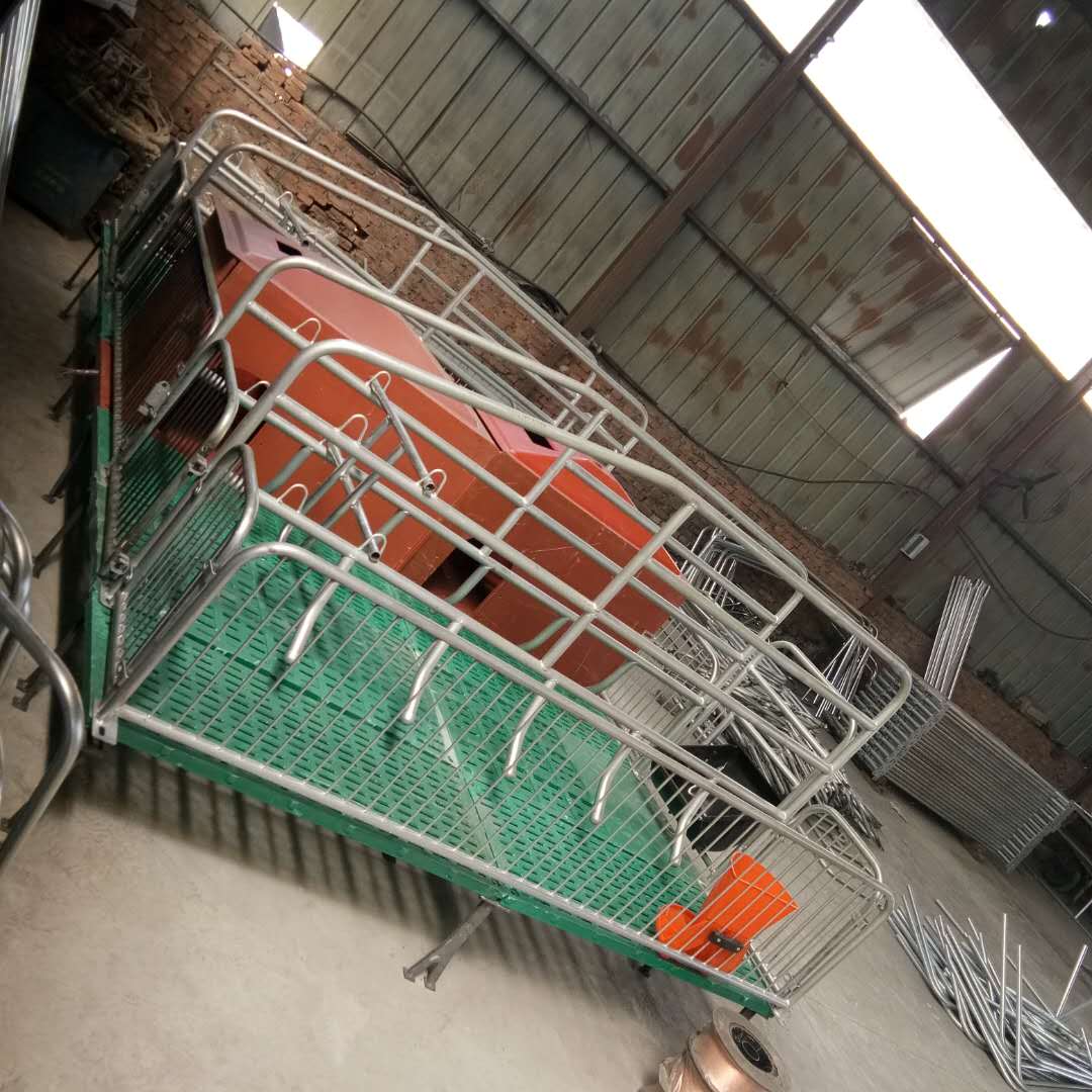 贵州毕节仔猪复合板保育栏带不锈钢双面料槽多少钱一套