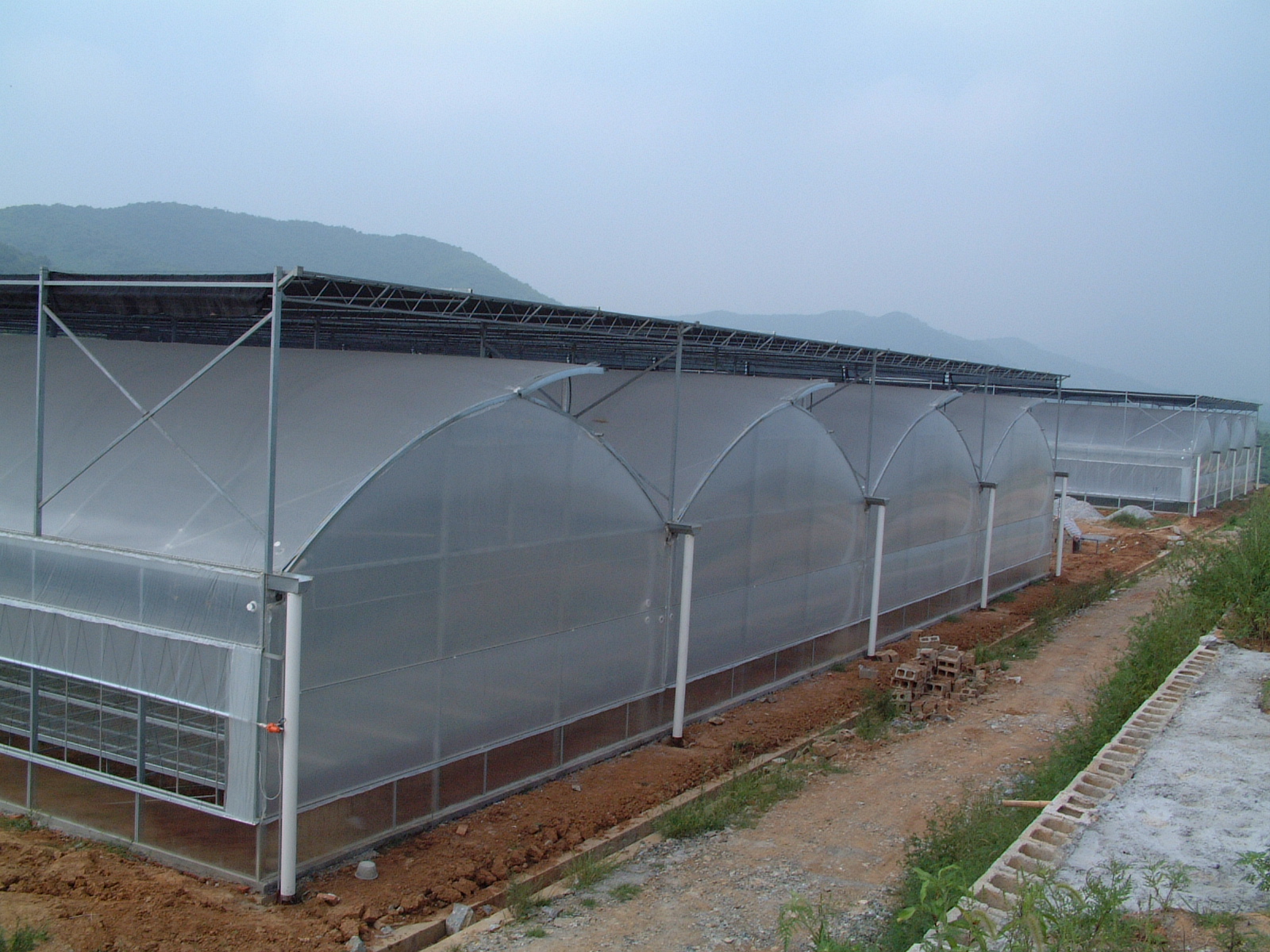 智能蔬菜阳光玻璃大棚 温室花房葡萄智能种植连体大棚