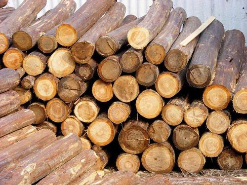 木材 报关 上海进口木炭清关手续及资料
