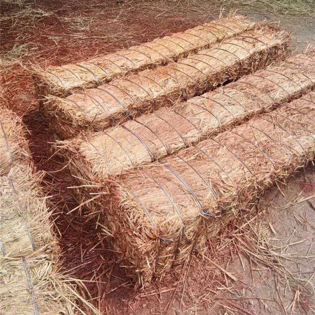 南京条形草支垫规格 草枕