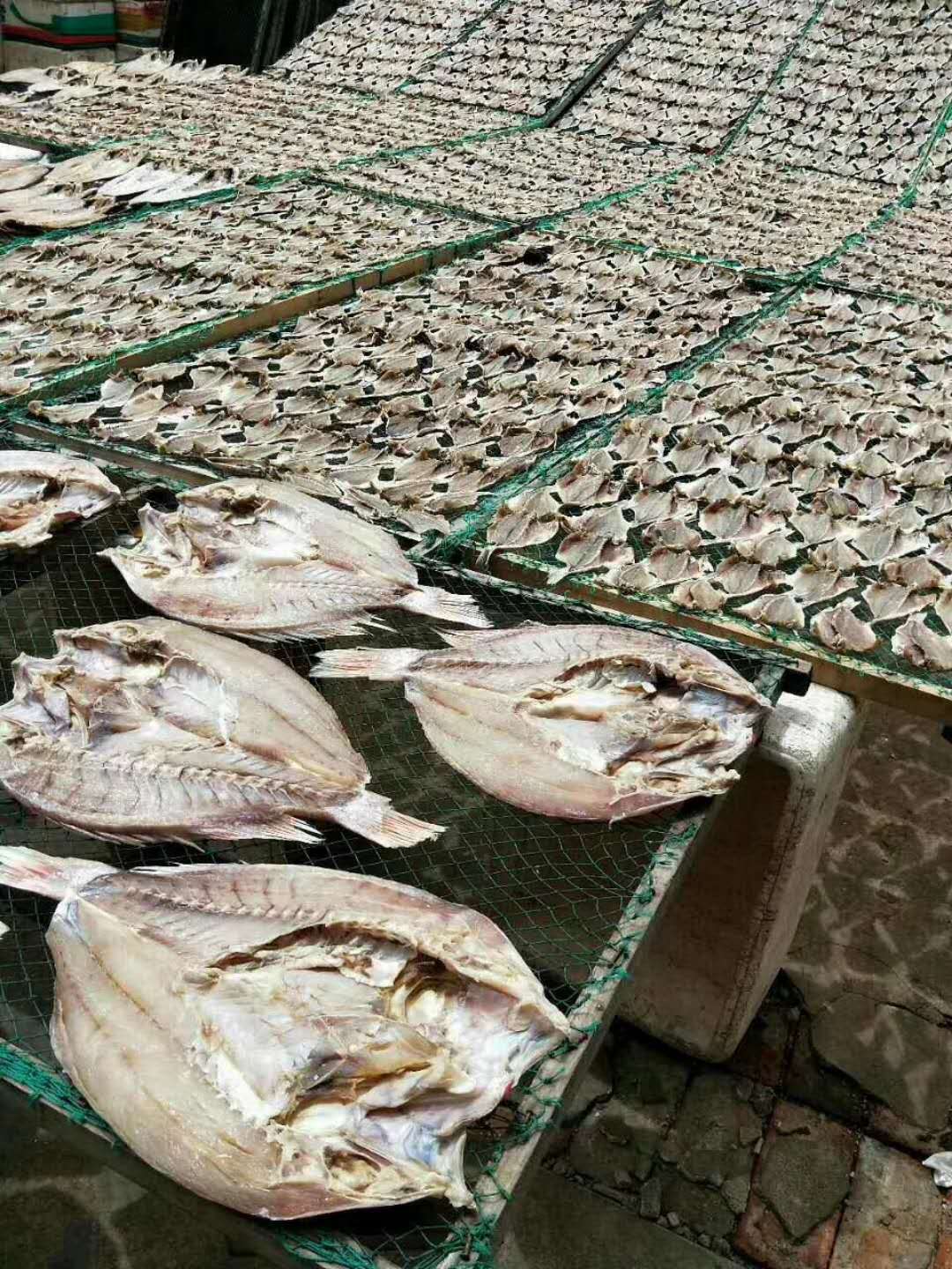 东莞鱼干烘干机