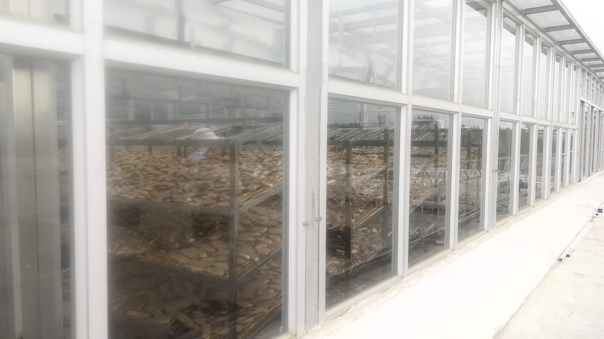 东莞自动鱼干烘干机报价