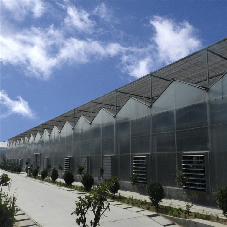 阳光板温室大棚 厂家定制 方案 预算 咨询鸿川温室 价格实在质量好