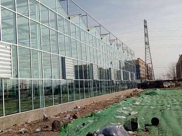 寿光旭峰农业专业承建温室大棚、蔬菜大棚、日光温室建设生产安装一体
