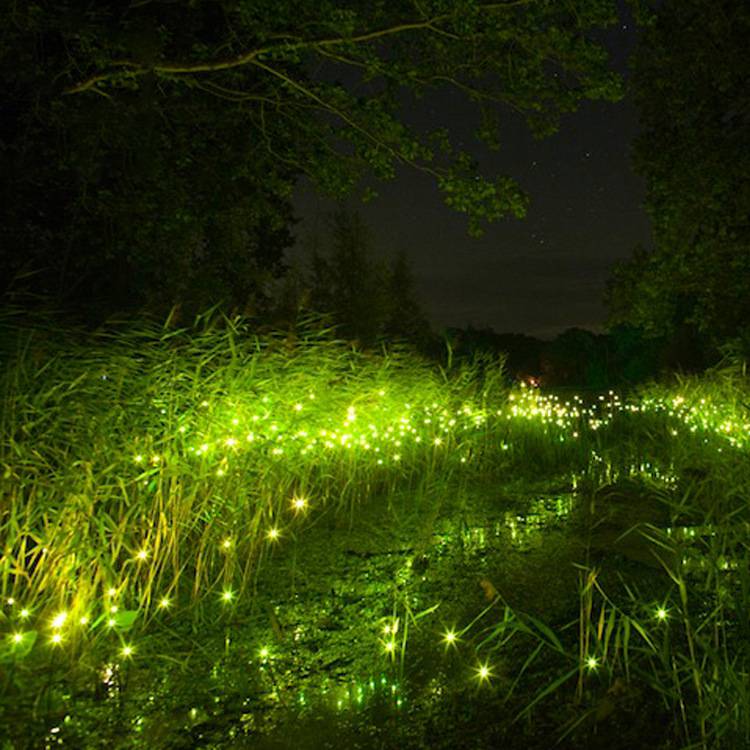 防水互动萤火虫公园室外草坪灯光装置 LED美陈公共空间夜晚更美