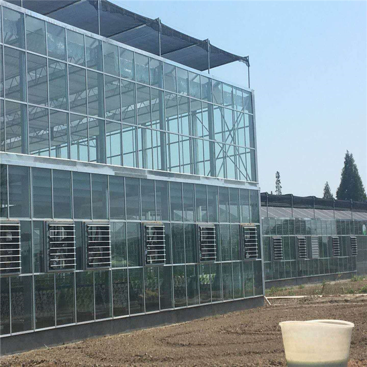 玻璃温室水果育苗温室-养殖玻璃温室设施-德源温室