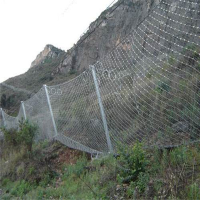 航川丝网边坡防护网