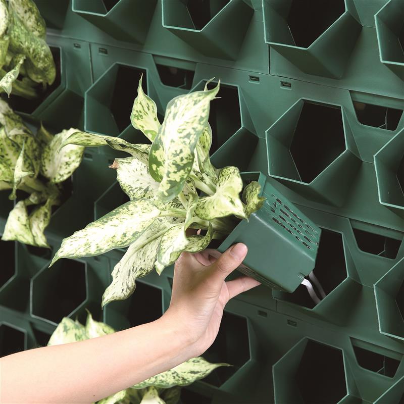 垂直绿化植物墙种植盒