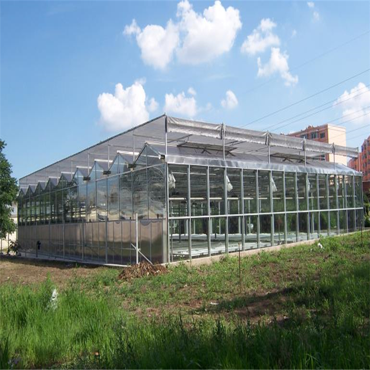 生态玻璃温室大棚建设 品质保证 质保十年