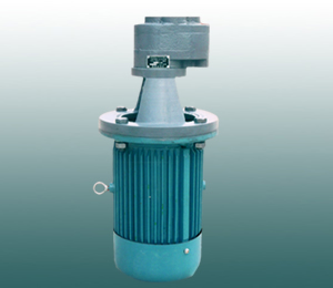 泰兴中润液压LBZ系列立式齿轮油泵电机组