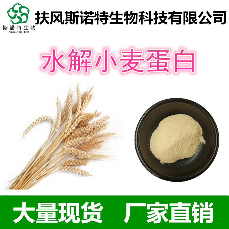 水解小麦蛋白 小麦蛋白生产厂家 食品级小麦蛋白