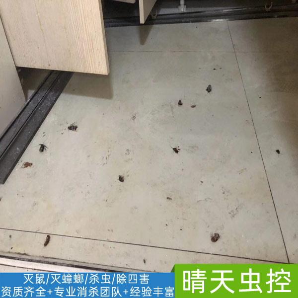 安徽酒店灭蟑螂公司