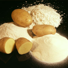马铃薯粉进口流程的知识点