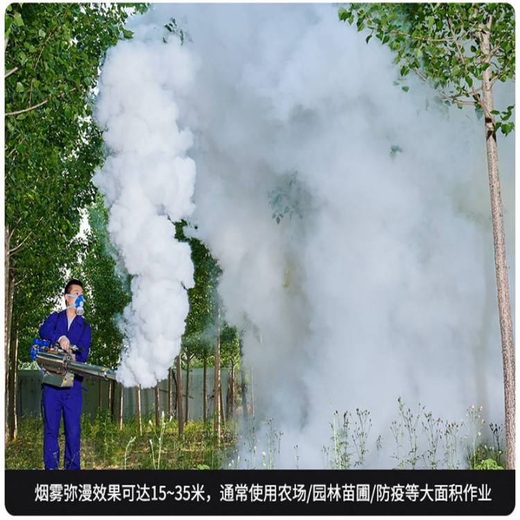 农用烟雾机小马力汽油弥雾机 图片脉冲式弥雾机