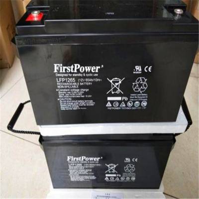 一电蓄电池LFP1250免维护12V50AH现货包邮