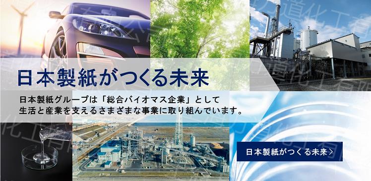 氯化聚丙烯树脂 SUPERCHLON 803MWS日本制纸Nippon Paper