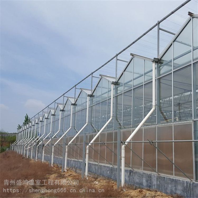 安徽玻璃温室产地常见故障及处理方法-新资讯