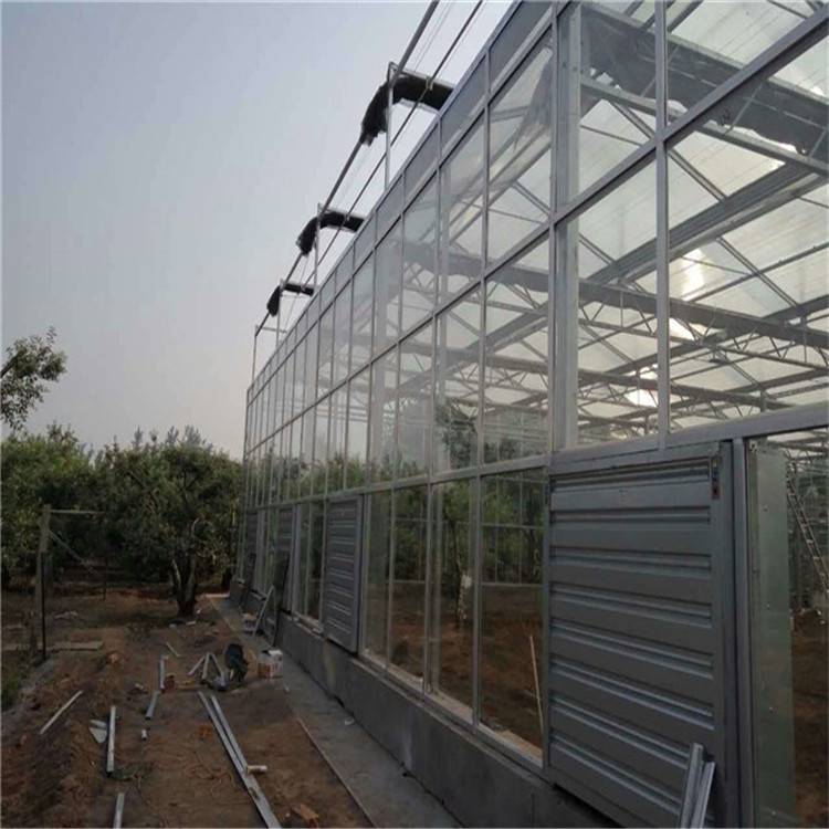 玻璃温室大棚种植的优缺点