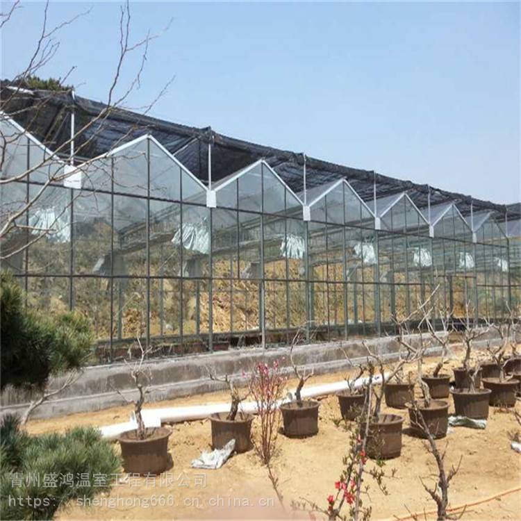 江苏建设玻璃温室大棚的结构特点
