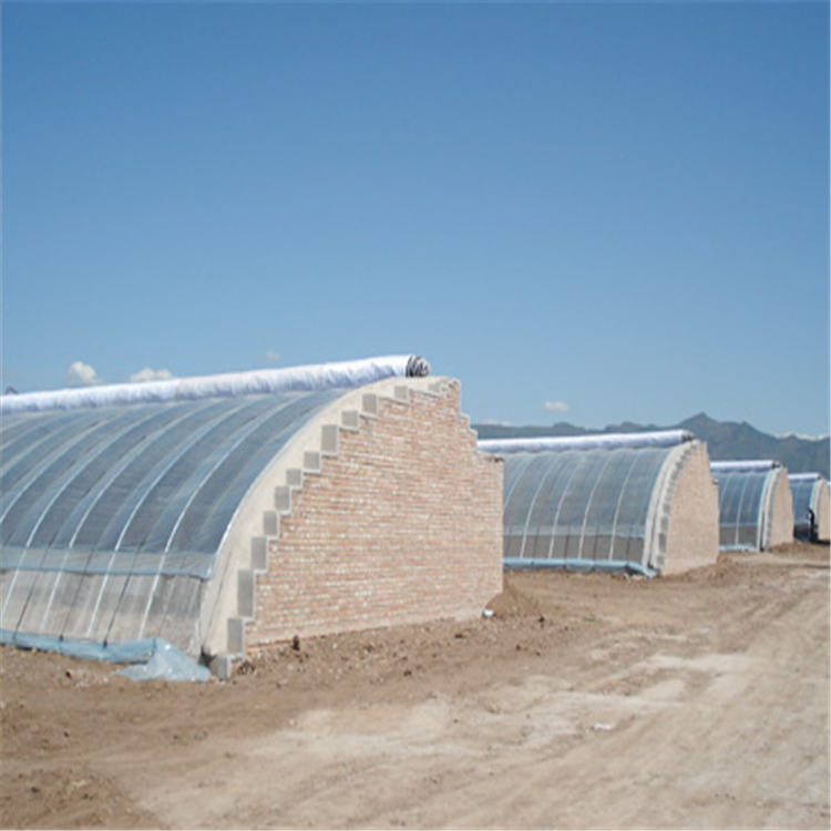 日光温室 日光温室骨架 农业温室造价 蔬菜温室