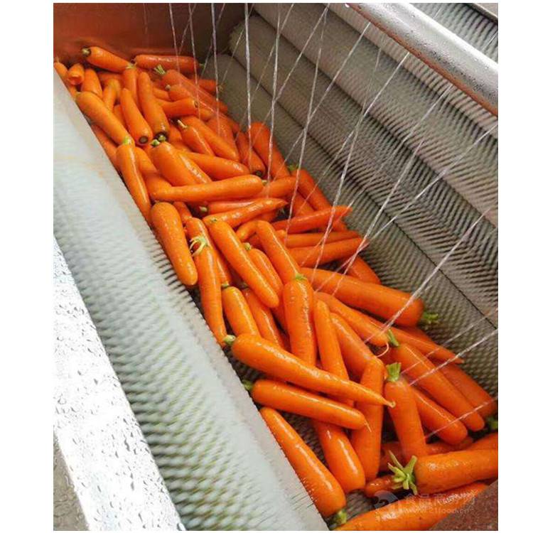 胡萝卜清洗机 大型胡萝卜清洗机 毛刷胡萝卜清洗机