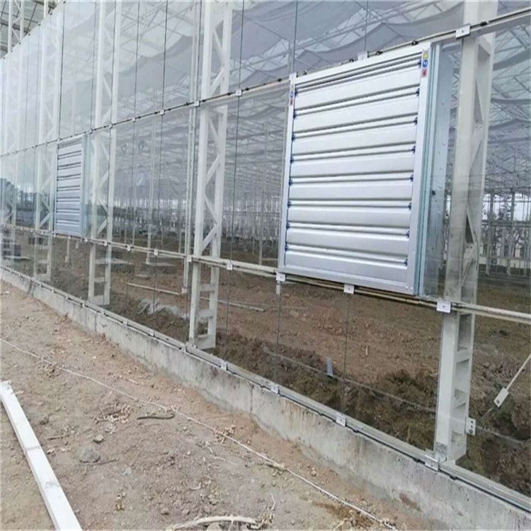 贵州玻璃温室大棚维修必看-实力认证