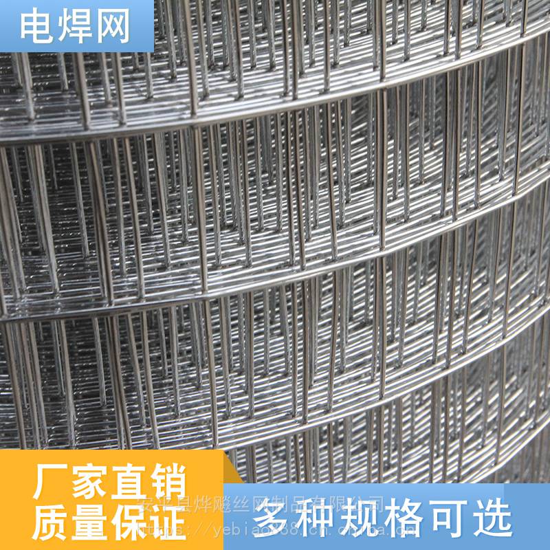 电焊网厂家 圈玉米网 热镀锌电焊网 改拔铁丝网