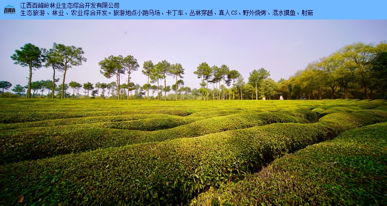 江西南昌组团旅游景点哪里好 信息推荐 江西百峰岭林业供应