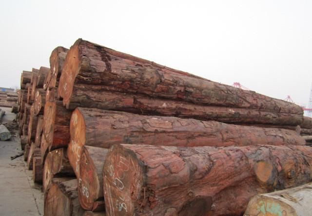 廣州木材進口清關公司