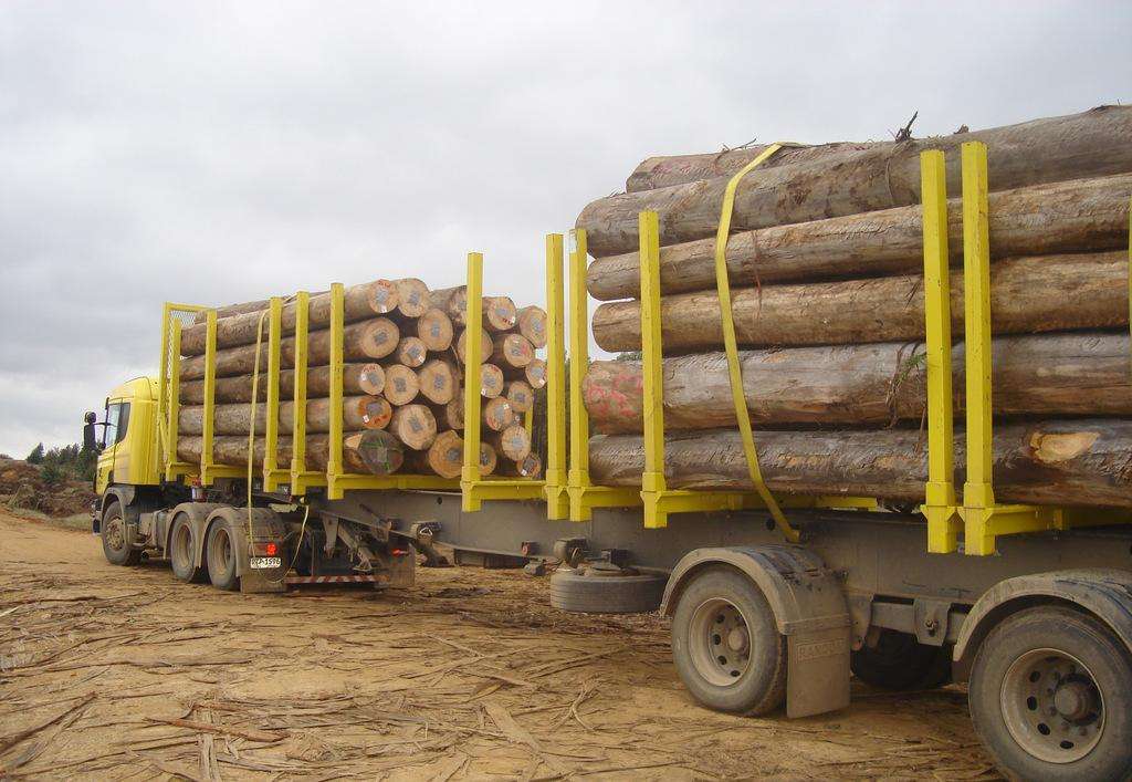 惠州板材進口清關 代理櫸木進口清關費用 木材進口清關服務公司