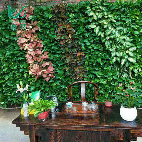 六安办公室绿植植物墙