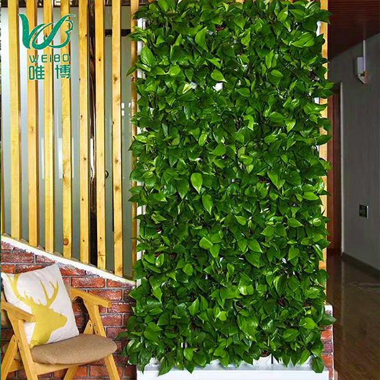 滁州办公室绿植植物墙