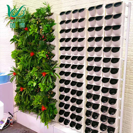 亳州公共场合绿植植物墙设计